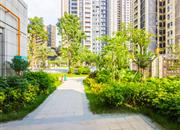 全盛紫悦龙庭-环境绿化