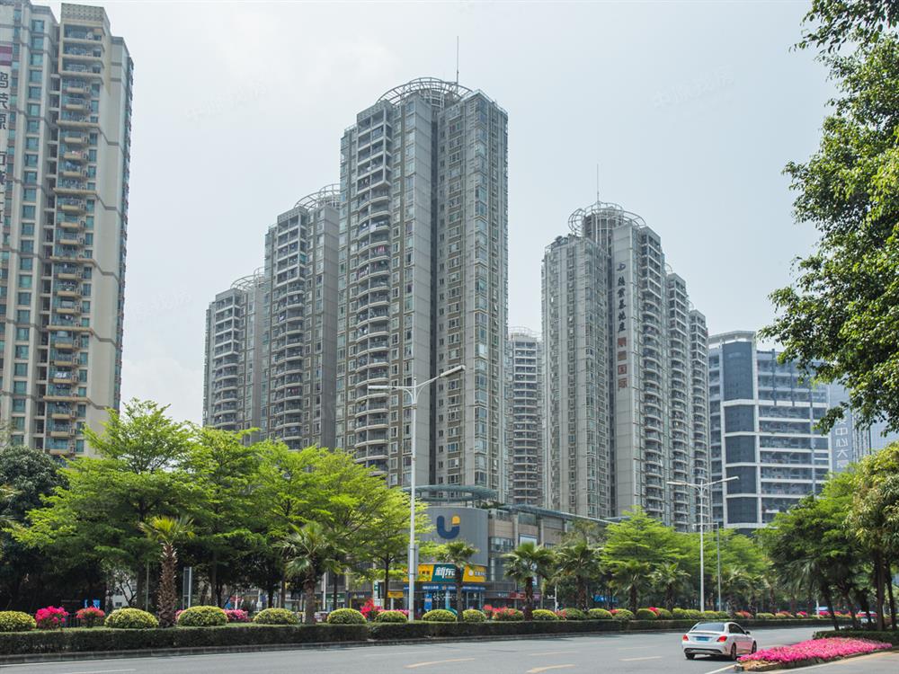 丽晶国际