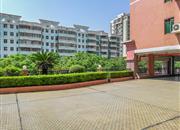 泰华锦绣城-环境绿化