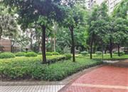 深业新岸线（三期）-环境绿化