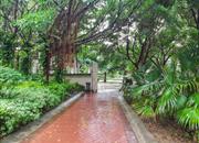 深业新岸线（三期）-环境绿化