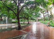 深业新岸线（三期）-环境绿化