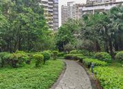 深业新岸线（三期）-环境绿化