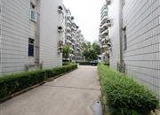 德兴花园（一期）-环境绿化