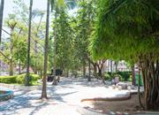 东方半岛花园-环境绿化