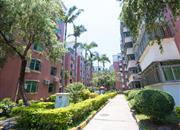 东方半岛花园-环境绿化