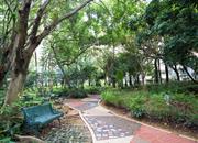 康达尔花园（一、二、三期）-环境绿化