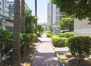 茂业城-环境绿化