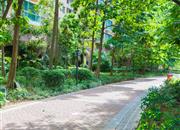 碧水龙庭（一期）-环境绿化