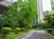 碧水龙庭（一期）-环境绿化