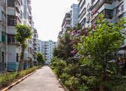 丰润花园-环境绿化