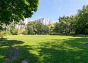 鼎太风华（三期）-环境绿化