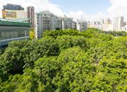 鼎太风华（三期）-环境绿化