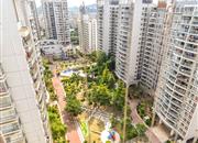 龙城华府-俯瞰图