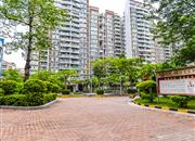 龙城华府-环境绿化