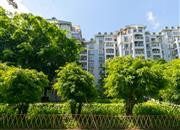 鼎太风华社区-环境绿化
