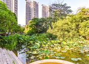 星河时代-环境绿化