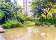 星河时代-环境绿化