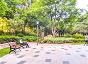 星河时代-环境绿化