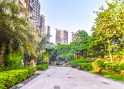 星河时代-环境绿化