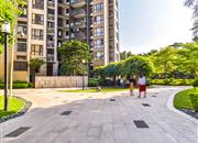 星河时代-环境绿化