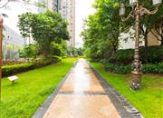 佳兆业前海广场-环境绿化