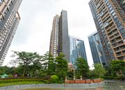 佳兆业前海广场-环境绿化