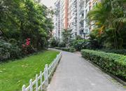 阳光棕榈园（二期）-环境绿化