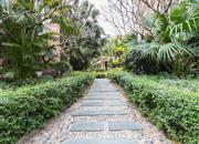 阳光棕榈园（二期）-环境绿化