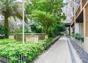 财富港大厦-环境绿化