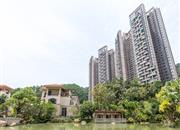 淘金山湖景花园二期-远景图