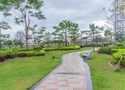 银信中心二期-环境绿化