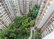 桂芳园（四期）-俯瞰图