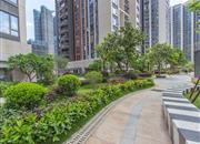 麟恒中心广场-环境绿化