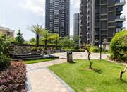 海山道1号-环境绿化