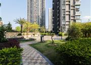 海山道1号-环境绿化