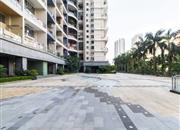 蓝郡广场-环境绿化