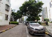 鹏湾一村-环境绿化