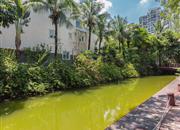 香蜜湖水榭花都（三期）-环境绿化