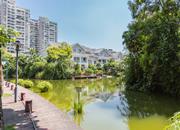 香蜜湖水榭花都（三期）-环境绿化