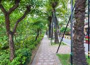 万科城（四期）-环境绿化