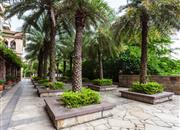 万科城（四期）-环境绿化