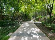 泛海拉菲花园（二期）-环境绿化