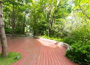 泛海拉菲花园（二期）-环境绿化