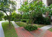 泛海拉菲花园（二期）-环境绿化