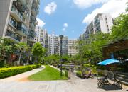 鼎太风华（七期）-环境绿化