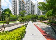 鼎太风华（七期）-环境绿化