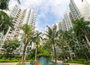 绿海名都-环境绿化