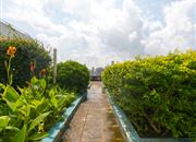 前海明珠-环境绿化