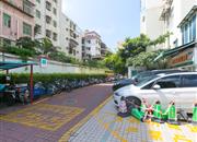 前海明珠-环境绿化